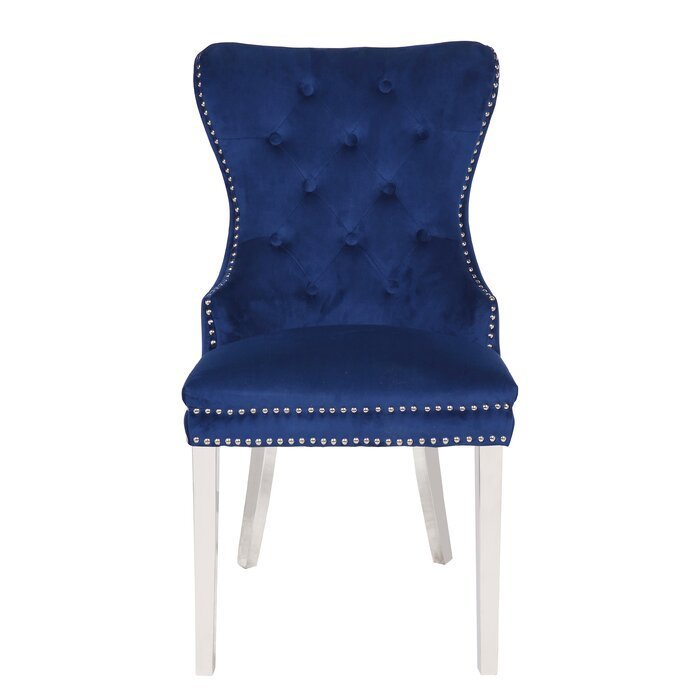 Erica 2 Piece Stainless Steel Legs Chair Finish with Velvet Fabric in Blue