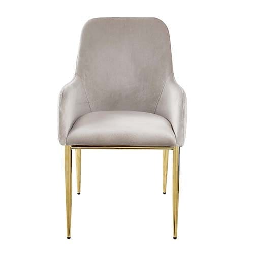 ACME Barnard Side Chair (Set-2) in Gray Velvet & Mirrored Gold Finish DN00220