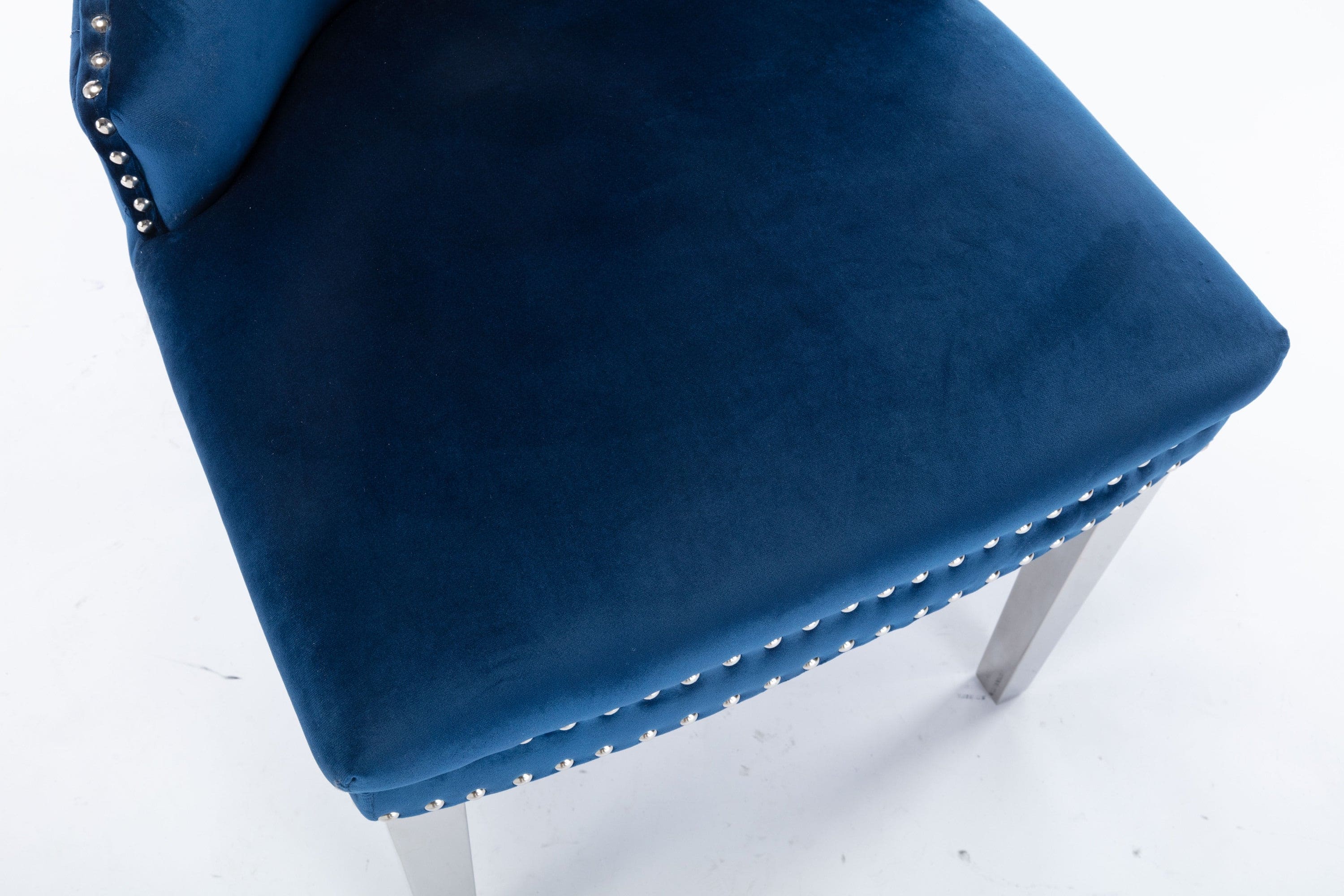 Simba Stainless Steel 2 Piece Chair Finish with Velvet Fabric in Blue