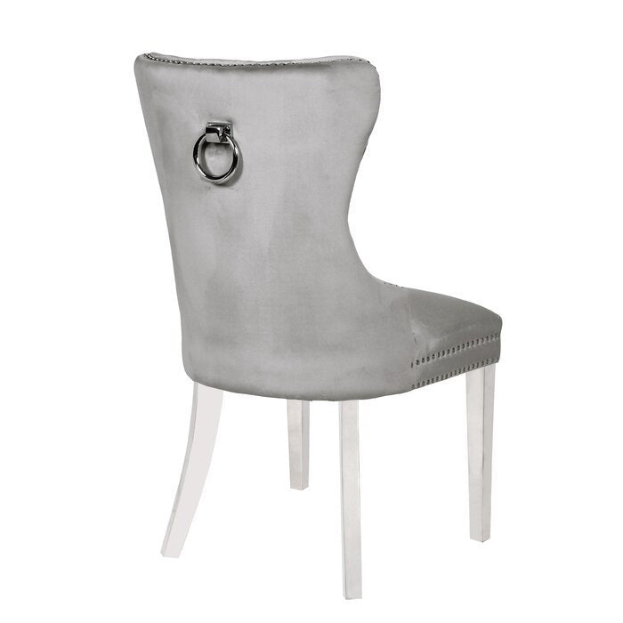 Erica 2 Piece Stainless Steel Legs Chair Finish with Velvet Fabric in Light Gray