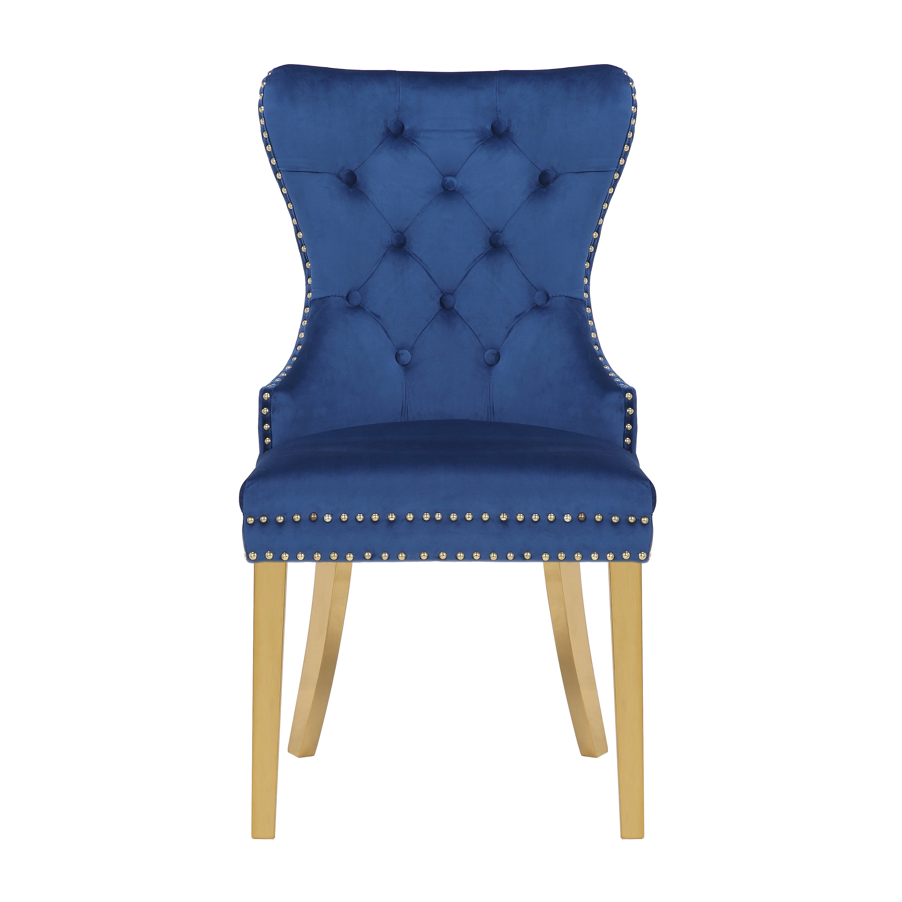 Simba Gold 2 Piece Dinning Chair Finish with Velvet Fabric in Navy