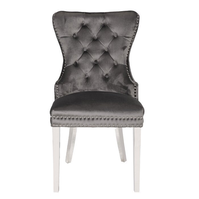 Erica 2 Piece Stainless Steel Legs Chair Finish with Velvet Fabric in Dark Gray