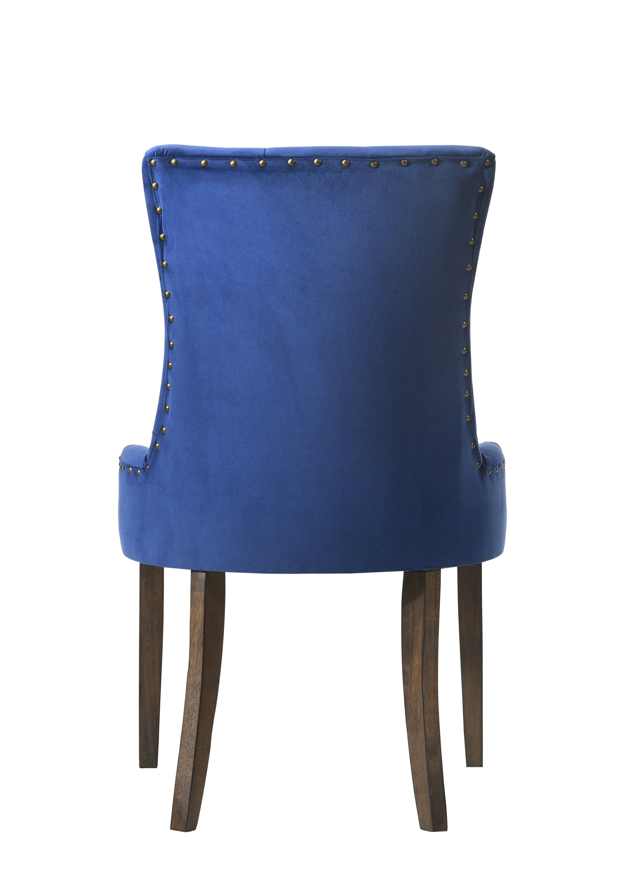 ACME Farren Side Chair, Blue Velvet & Espresso Finish 77165