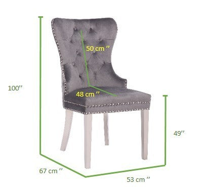 Simba Stainless Steel 2 Piece Chair Finish with Velvet Fabric in Dark Gray