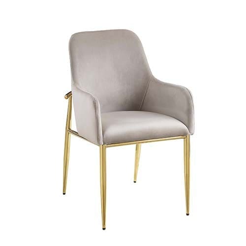 ACME Barnard Side Chair (Set-2) in Gray Velvet & Mirrored Gold Finish DN00220