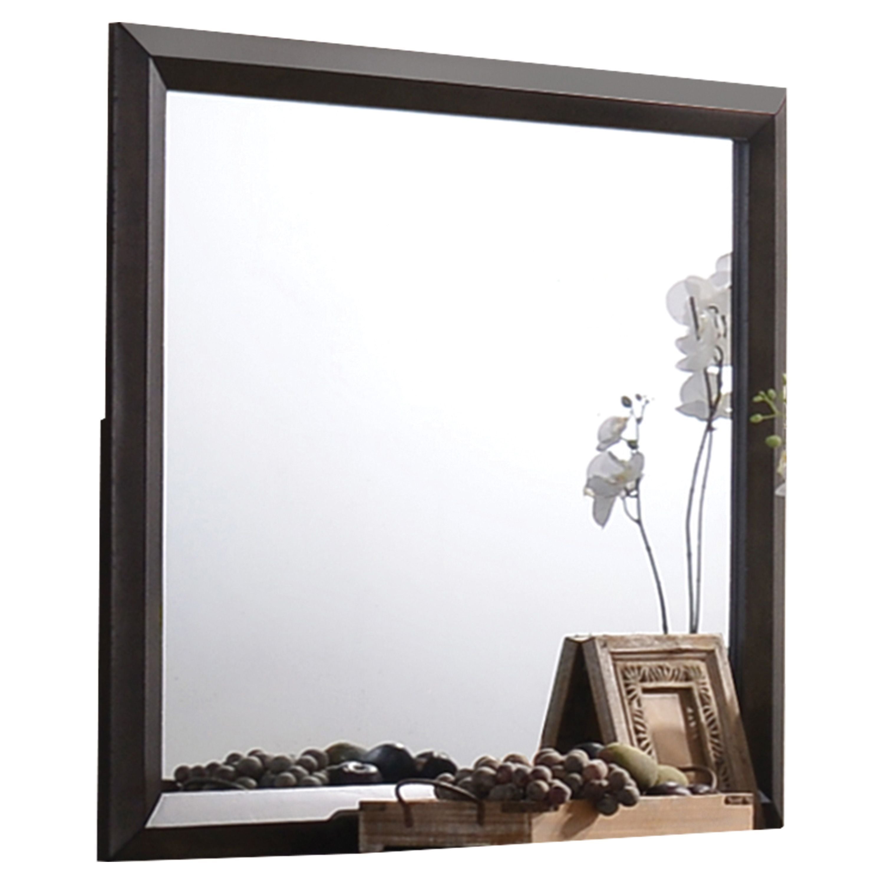 ACME Merveille Mirror in Espresso 22874