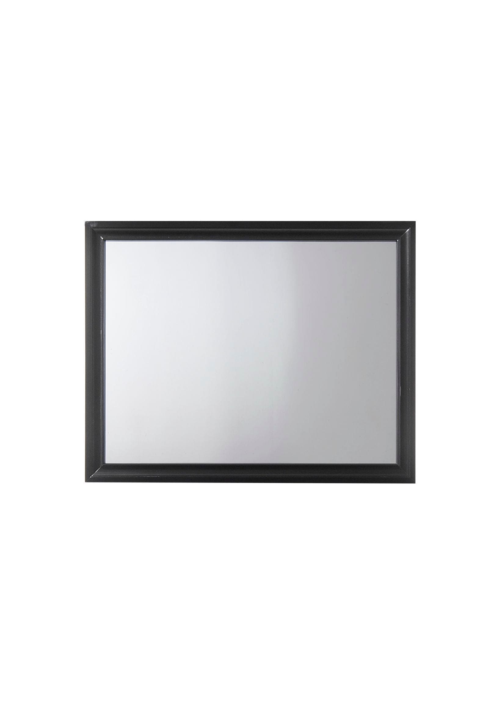 ACME Naima Mirror in Black 25904