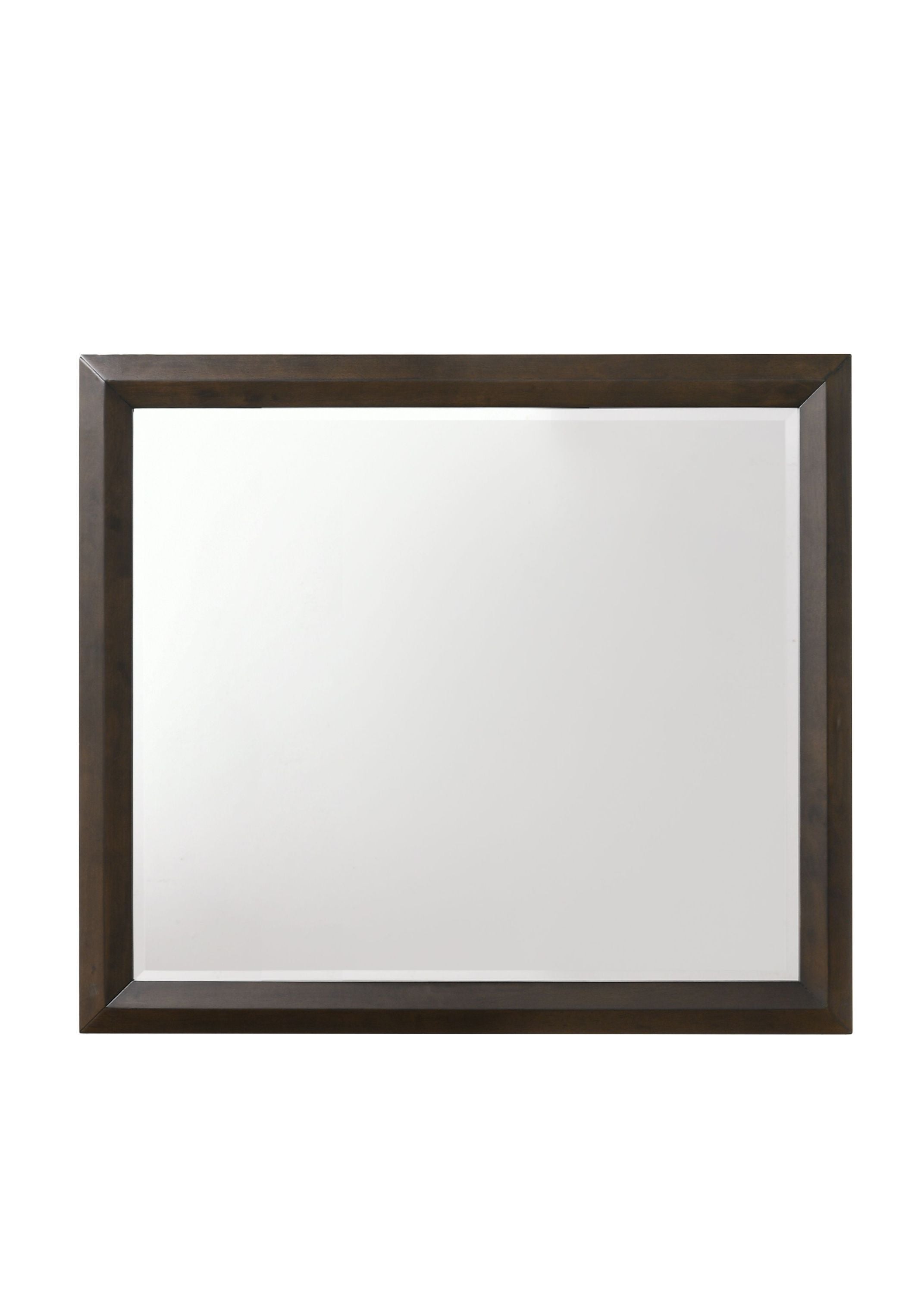 ACME Merveille Mirror in Espresso 22874