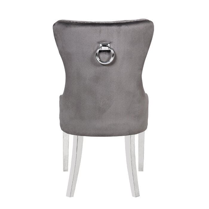 Erica 2 Piece Stainless Steel Legs Chair Finish with Velvet Fabric in Dark Gray