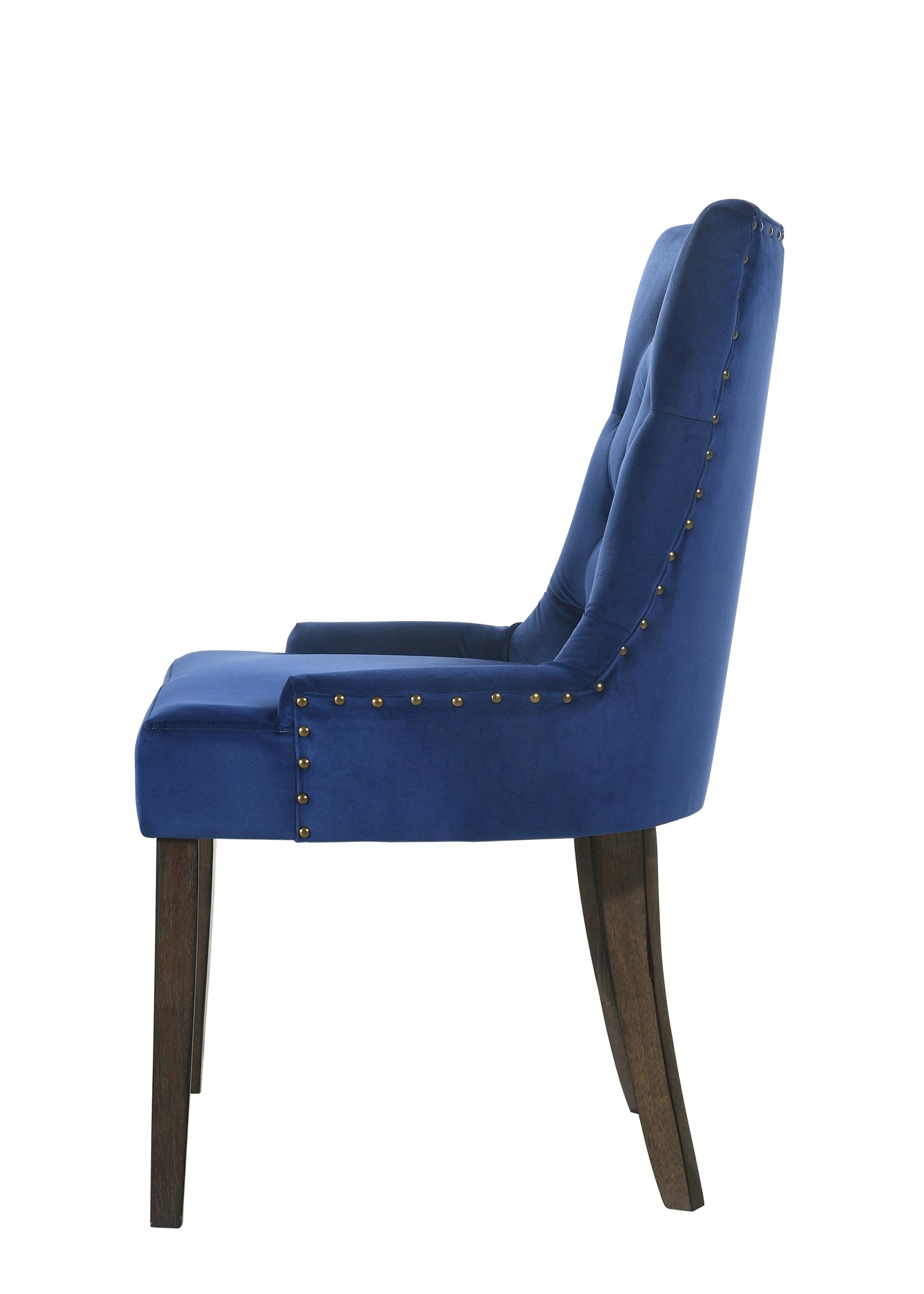 ACME Farren Side Chair, Blue Velvet & Espresso Finish 77165