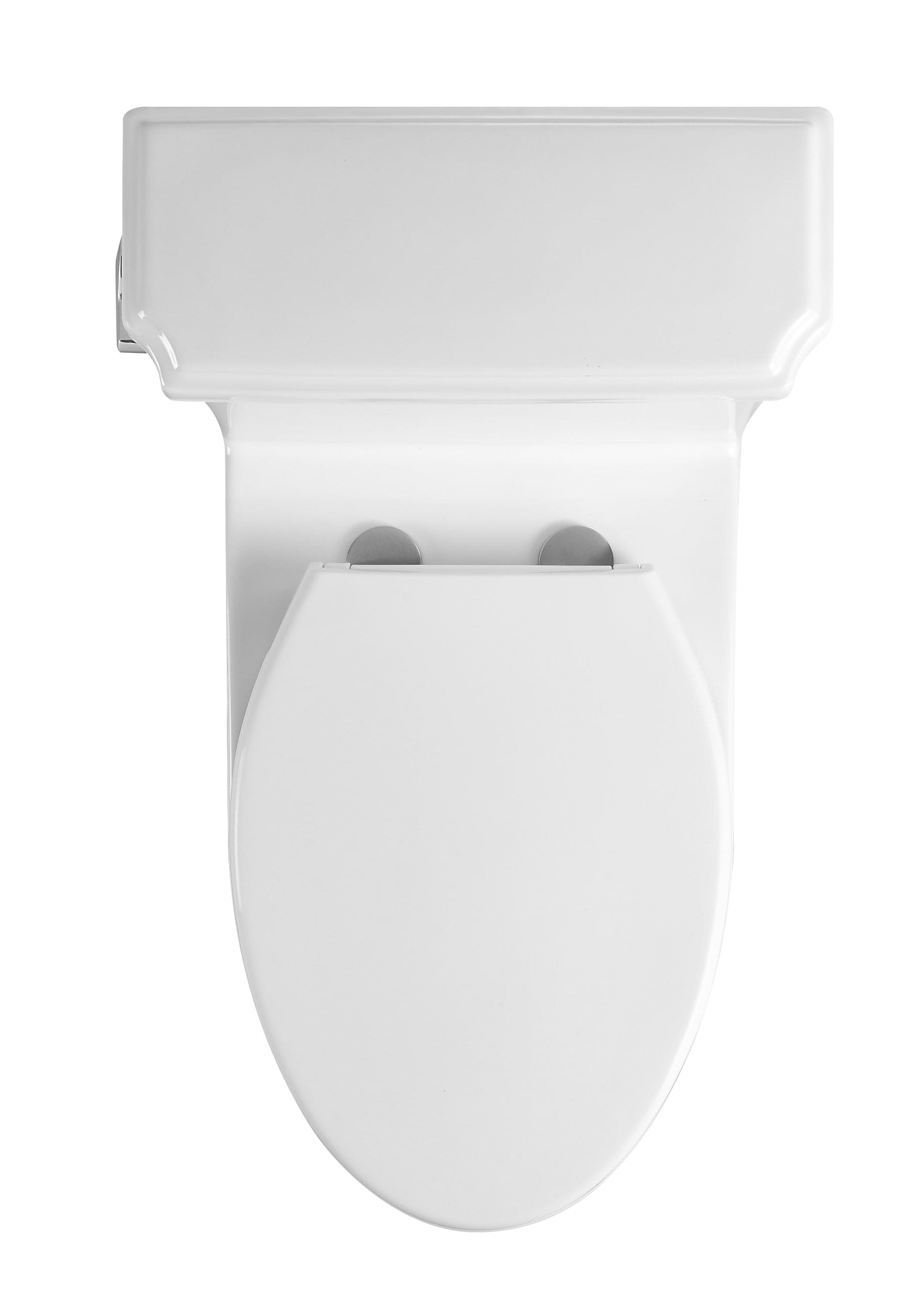 One-Piece Toilet