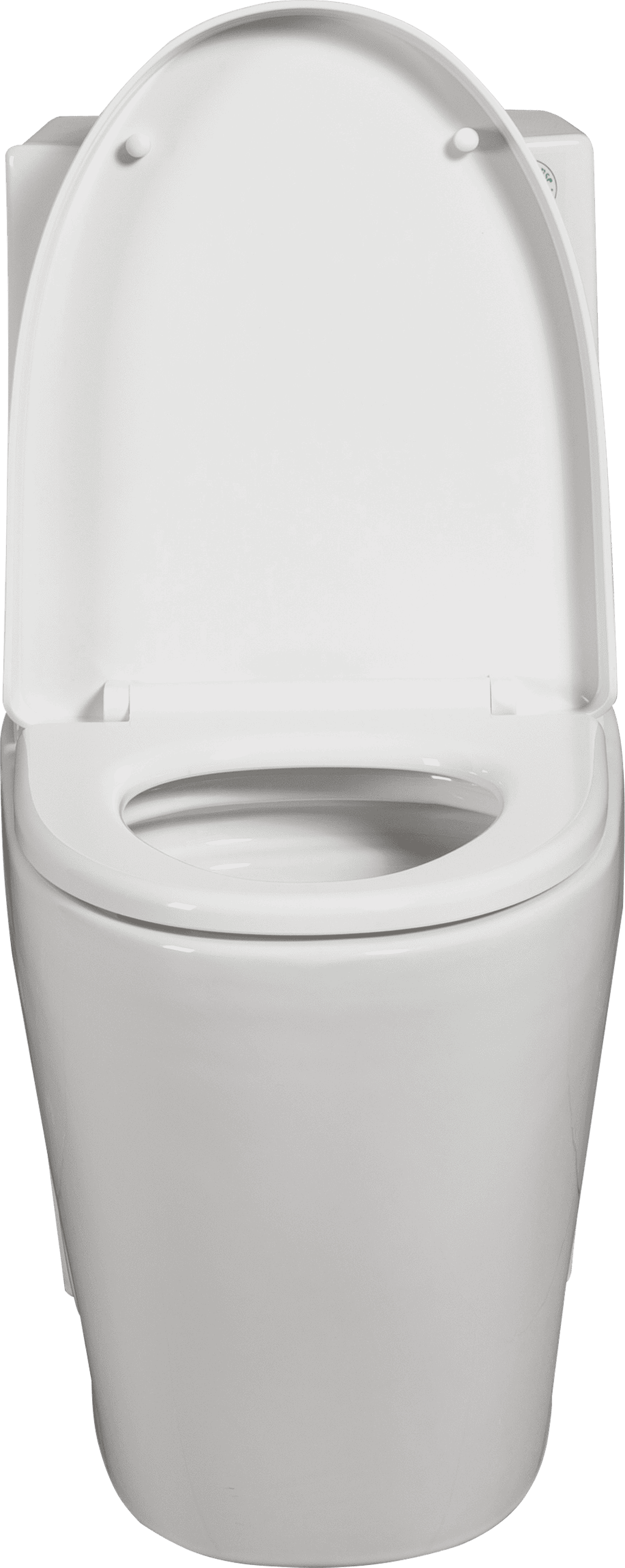 1.1/1.6 GPF Dual Flush 1-Piece Elongated Toilet with Soft-Close Seat - Gloss White,  Water-Saving, Modern, Stylish Design 23T01-GW