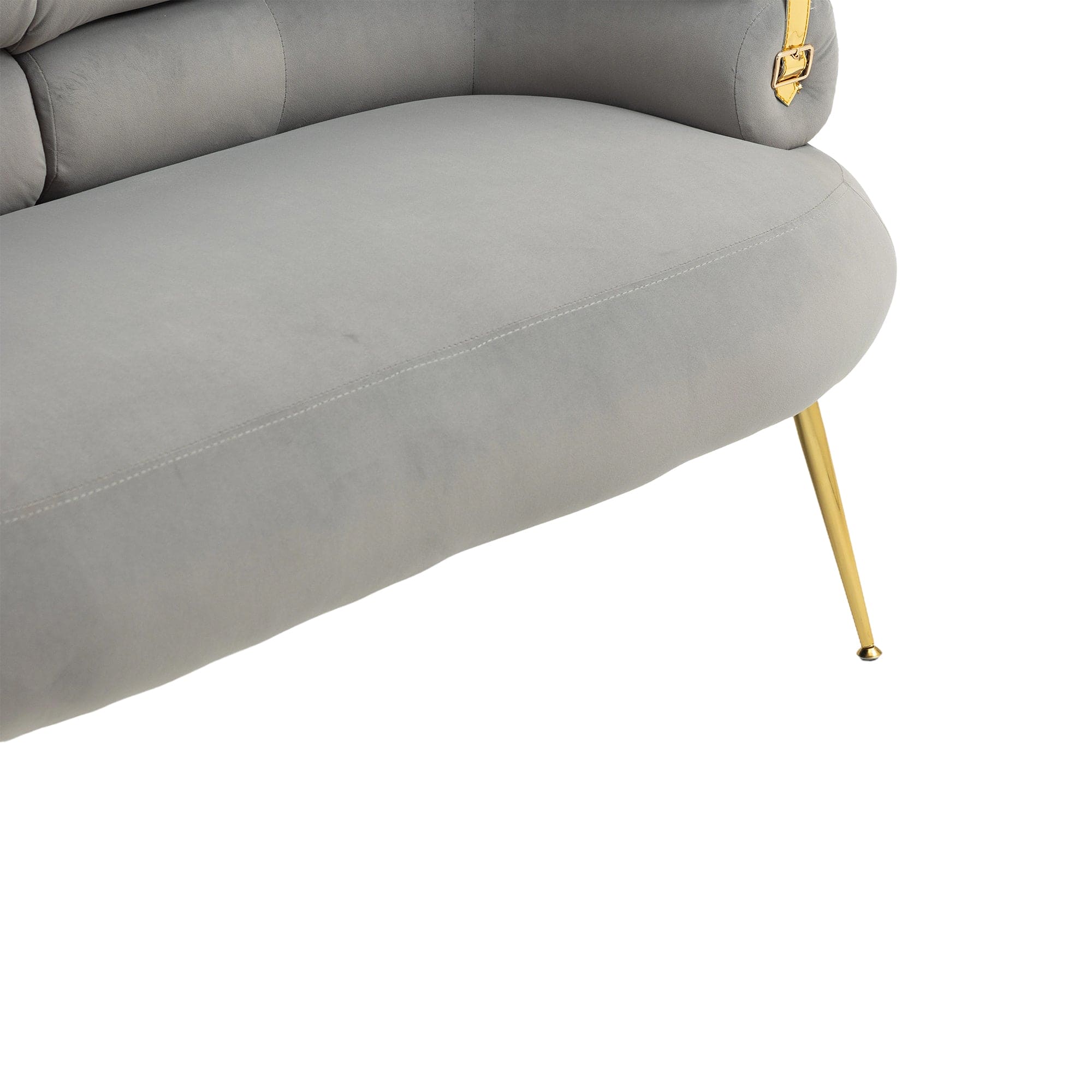 COOLMORE Accent Chair ,leisure chair with Golden feet