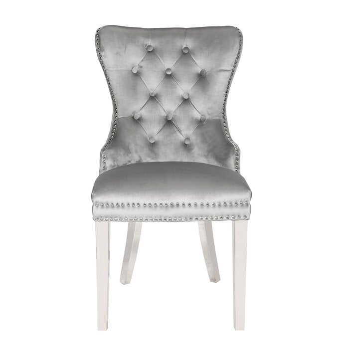 Erica 2 Piece Stainless Steel Legs Chair Finish with Velvet Fabric in Light Gray