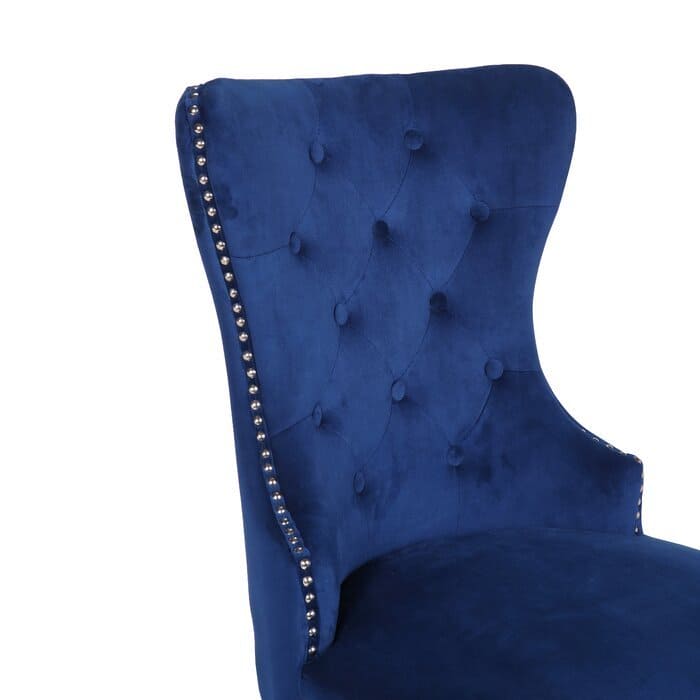 Erica 2 Piece Stainless Steel Legs Chair Finish with Velvet Fabric in Blue