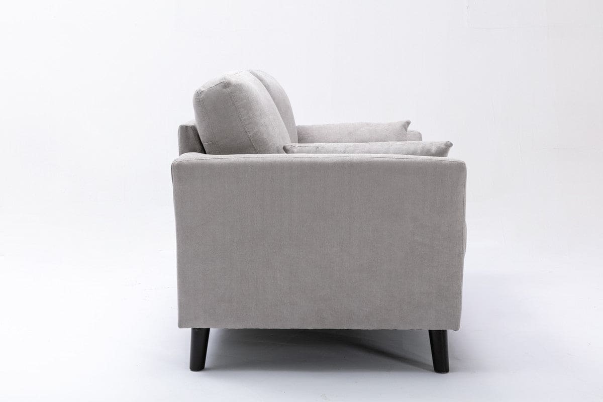 Damian Light Gray Velvet Fabric Loveseat