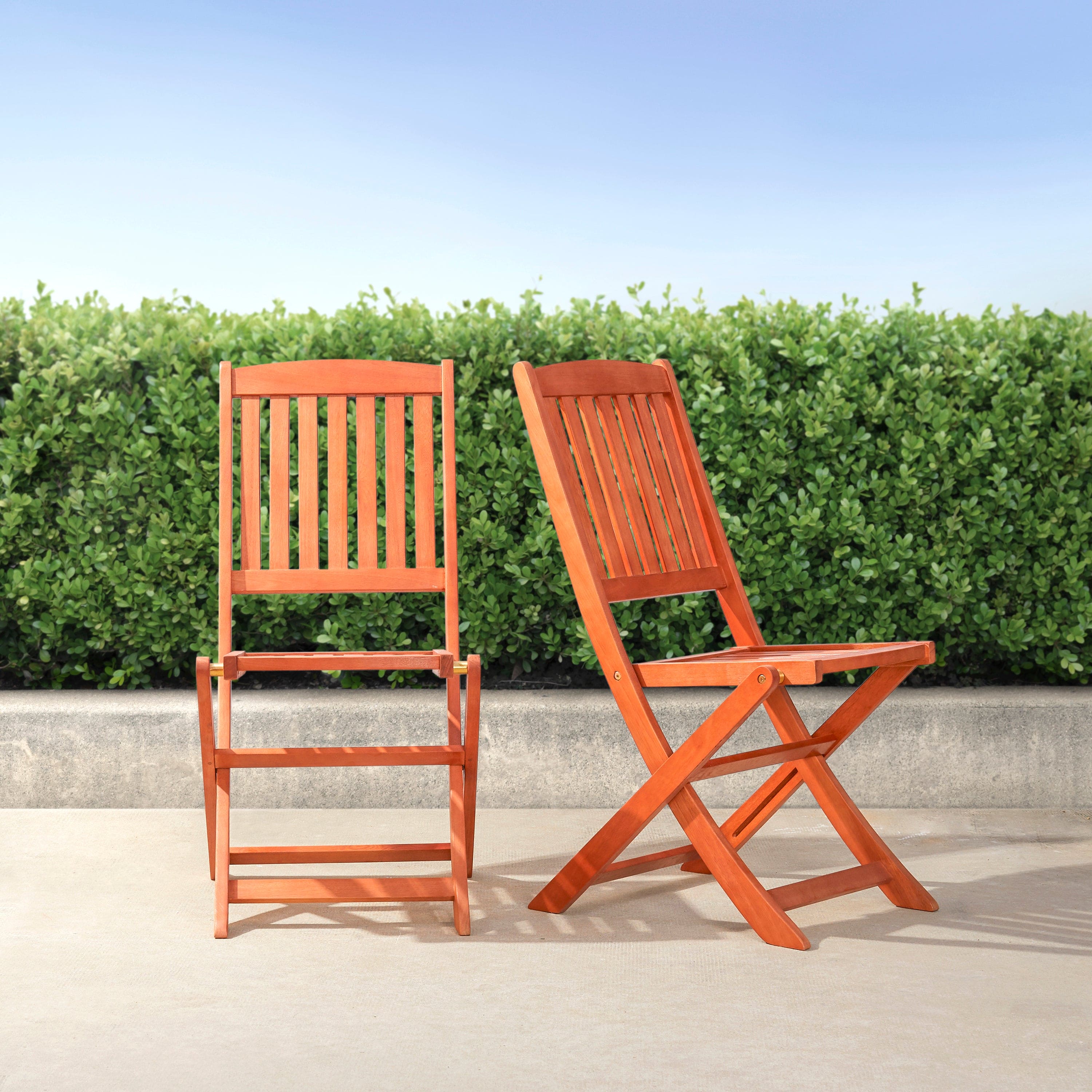 Lucius Reddish Brown Patio Folding Chairs (Set of 2)